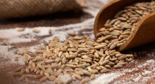 Порядок реализации зерна по ТР ТС 015/2011