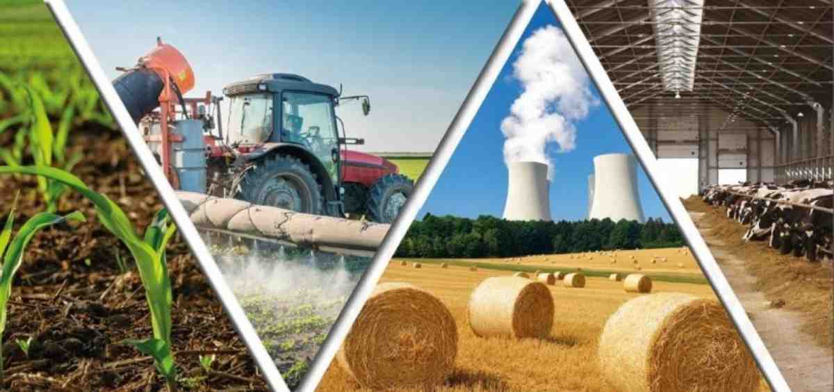 Продукция агропромышленного комплекса